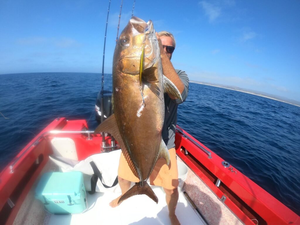 Go fishing with Alaia Surf Lodge in La Fortuna, the East Cape, Baja California Sur, Mexico